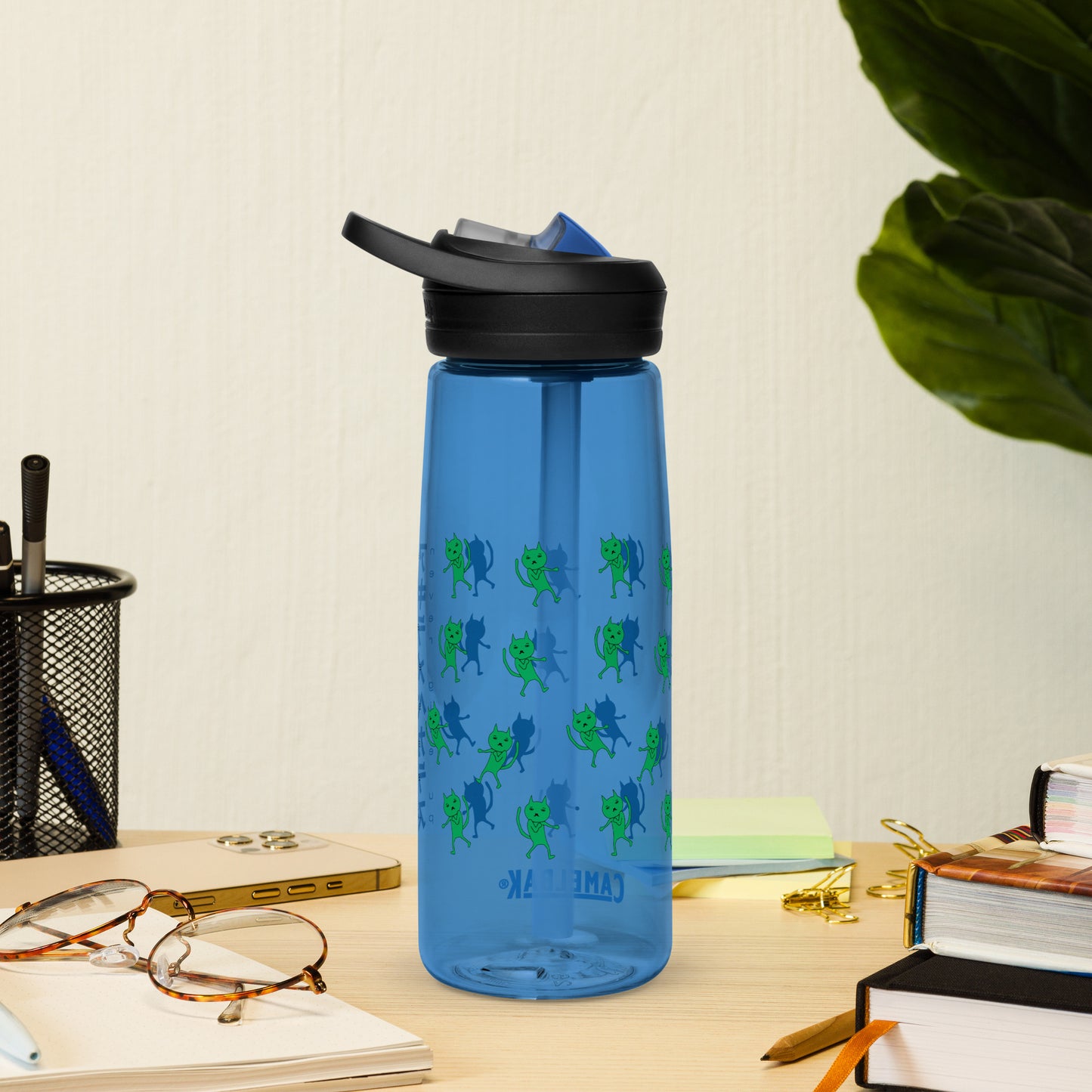 Sports water bottle